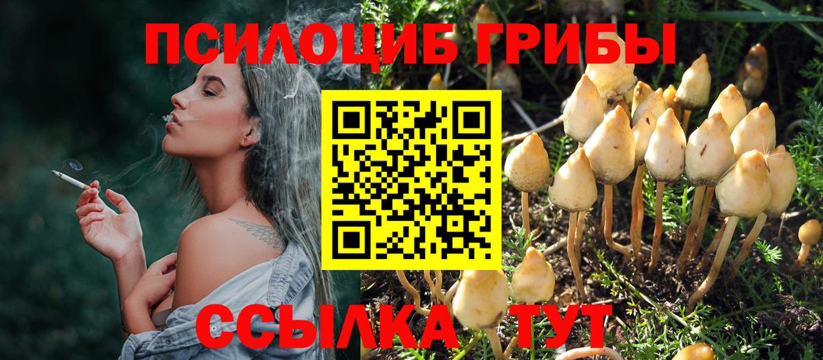 Псилоцибиновые грибы Psilocybine cubensis  Вход с VPN  Ачинск  Псилоцибиновые грибы MAGIC MUSHROOMS 