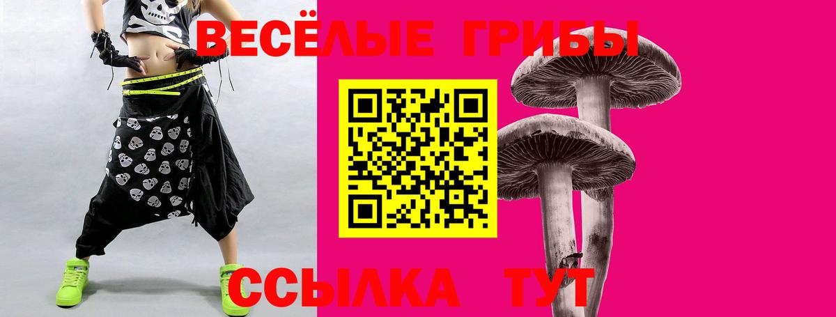 Псилоцибиновые грибы ЛСД Ачинск